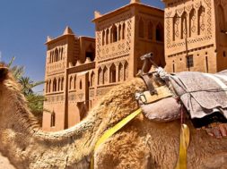 13. Vie nomade dans le sud du Maroc – découverte et voyage en immersion