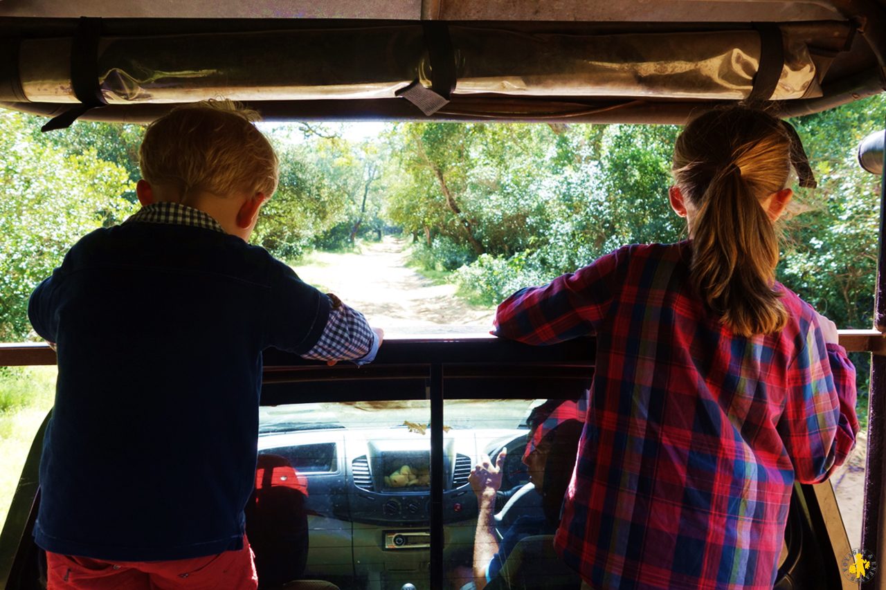 Comment faire du safari africain avec des enfants ?