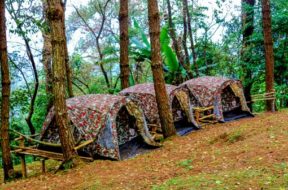 495VTR_Pourquoi partir au camping en été