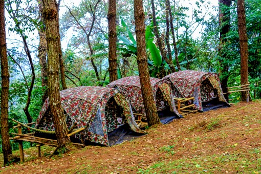 Faire du camping en été : 4 bonnes raisons de tenter l’expérience