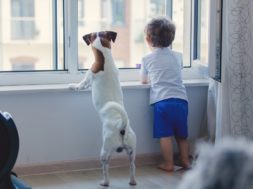 Guide pour aider votre enfant à s’occuper de votre chien