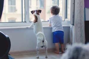 Guide pour aider votre enfant à s'occuper de votre chien