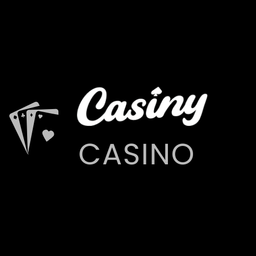 Casiny Casino Payment Methods 23