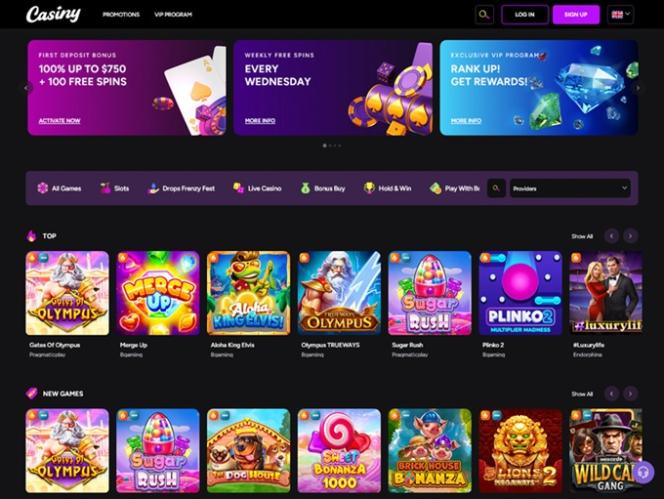 Casiny Casino Payment Methods 23