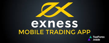 Can I Trade on an Innovative Platform Discover the Possibilities Can I Trade on an Innovative Platform Discover the Possibilities